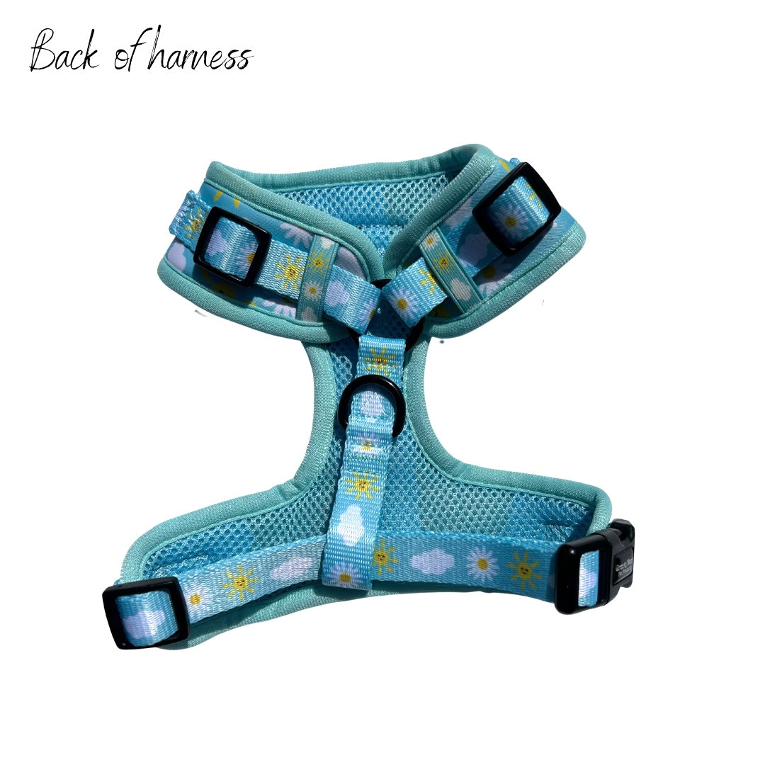 The Daisy Harness