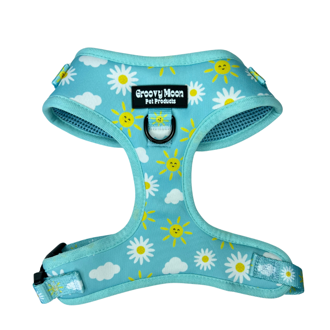 The Daisy Harness