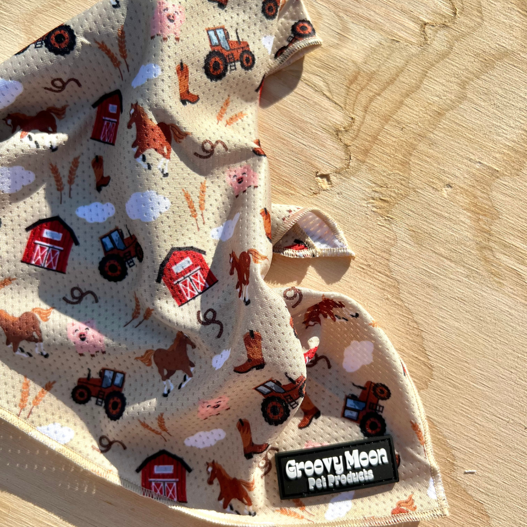 Toast Bandana